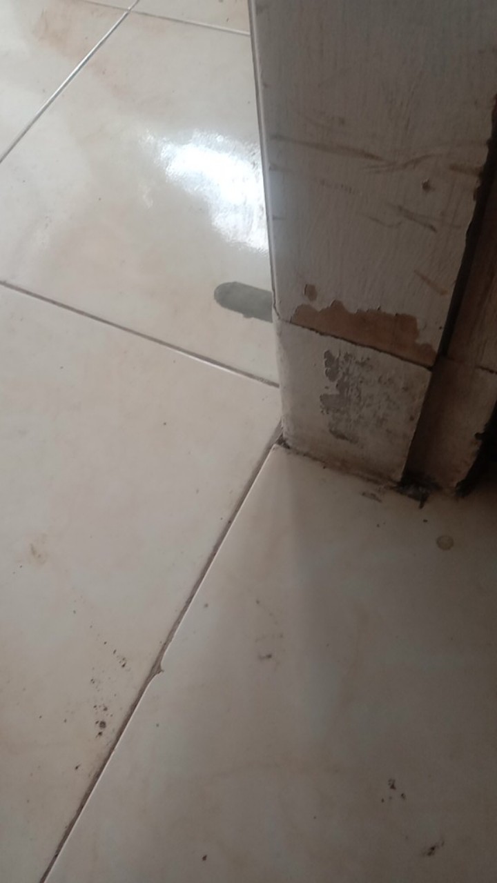 Parutan Keju Stainless Best Seller