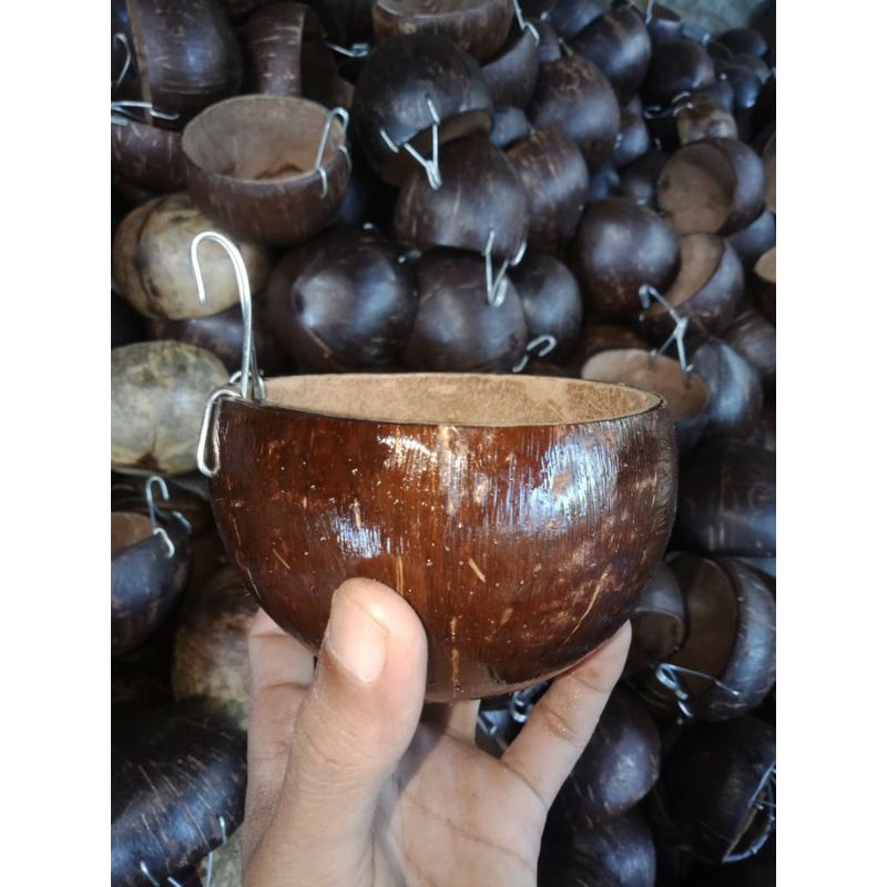 [Purwodadi] Batok kelapa / wadah pakan ayam / wadah makanan ayam / batok kelapa ayam