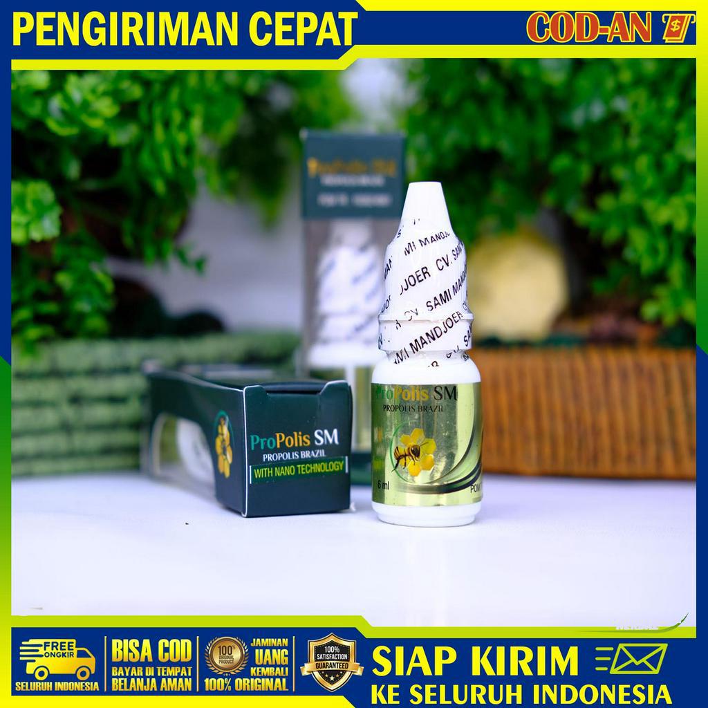 Obat Sakit Kuning, Hepatitis A, Hepatitis B, Hepatitis C, Liver - Propolis SM