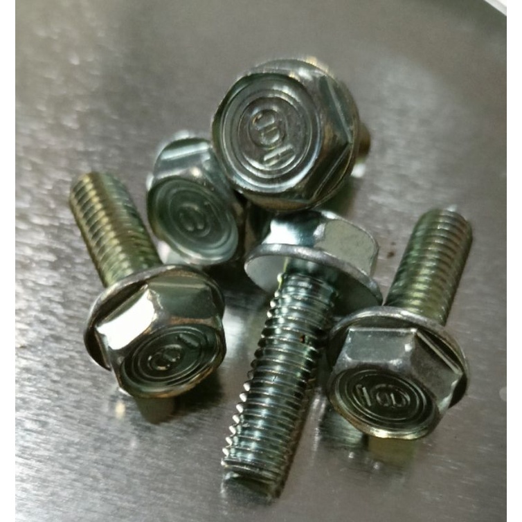 Baut 10 bertopi, Baut 10 baut plat nopol