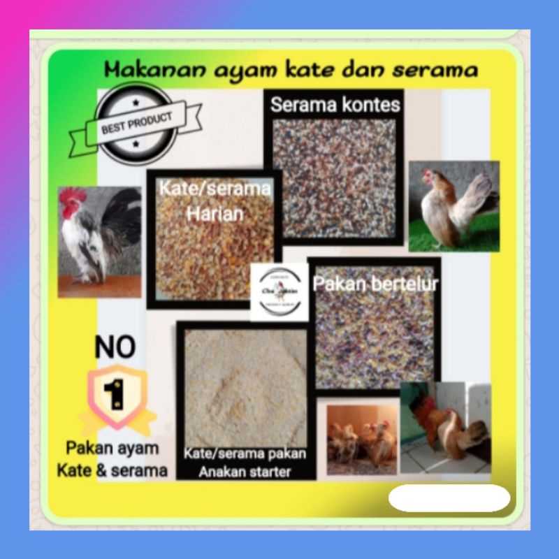 pakan harian ayam kate &amp; serama - pakan anakan ayam kate &amp; serama masa awal starter - pakan bertelur makanan ayam kate agar cepat bertelur - pakan kontes makanan ayam serama menjelang kontes