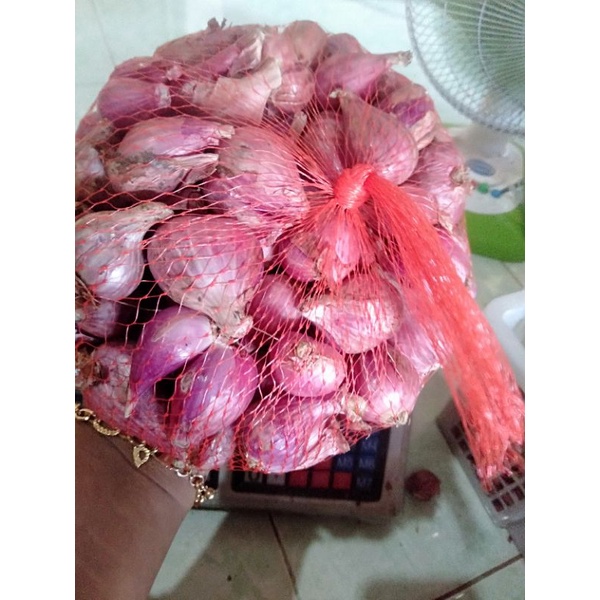 

bawang merah brebes