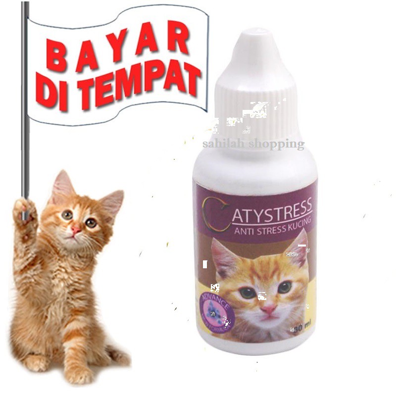 OBAT KUCING STRESS LEMAS AMPUH CATTYSTRESS