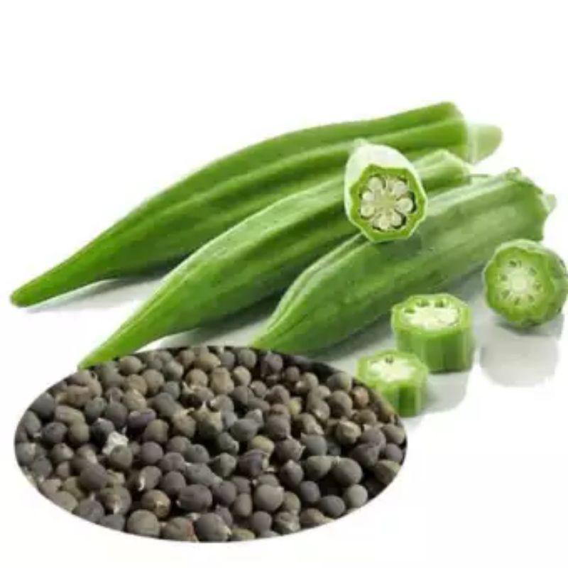 

Benih Tumbuhan Okra Hijau