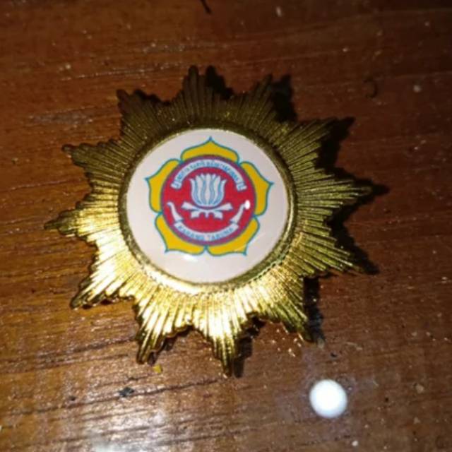 Pin karang taruna