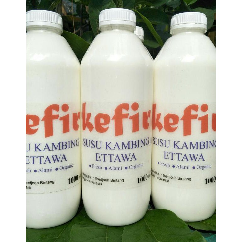 

Kefir Susu Kambing Etawa Kemasan 1 Liter TERJAMIN