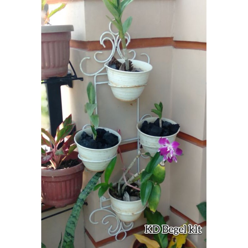 standing pot anggrek model B + bonus pot tawon /rak bunga besi tempel dinding minimalis
