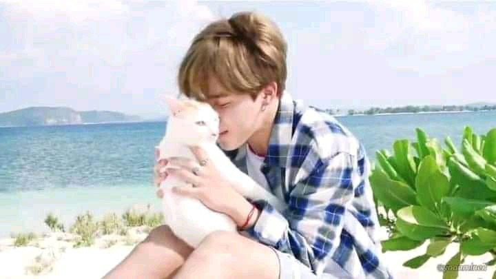 New Collection Nayaka Batik - Batik Couple Selena Padi Pinguin Busui Free Slendang| Couple Kondangan