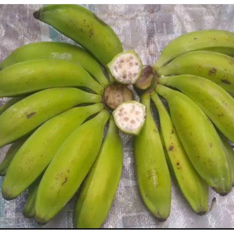 

Jual Pisang kulutuk Atou pisang batu