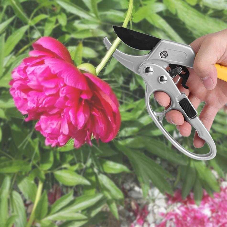 Gunting Tanaman Ranting Garden Pruning Shear Scissors Kuat / Gunting Tanaman Material Besi Tajam dan Keras / Alat Berkebun Gunting Dahan Ranting Pohon Tangkai Bunga Tajam Lekukan Ergonomis Nyaman Awet / Alat Berkebun Pemula Gunting Ranting Bunga Tumbuhan