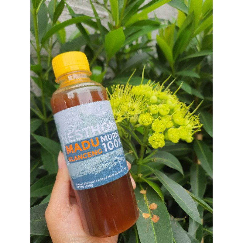 

Madu Klanceng / Trigona / Lanceng / Kelulut / Teweul / Kele Kele Murni 325 gram