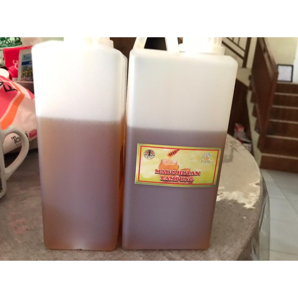 

MADU HUTAN LAMPUNG
