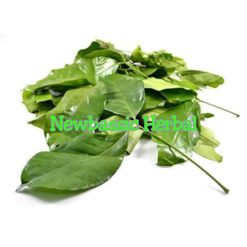 

Daun melinjo 1kg