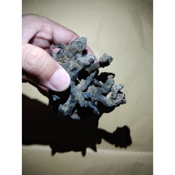 naga raja melingkar batu kuno dengan seperti kembang kantil