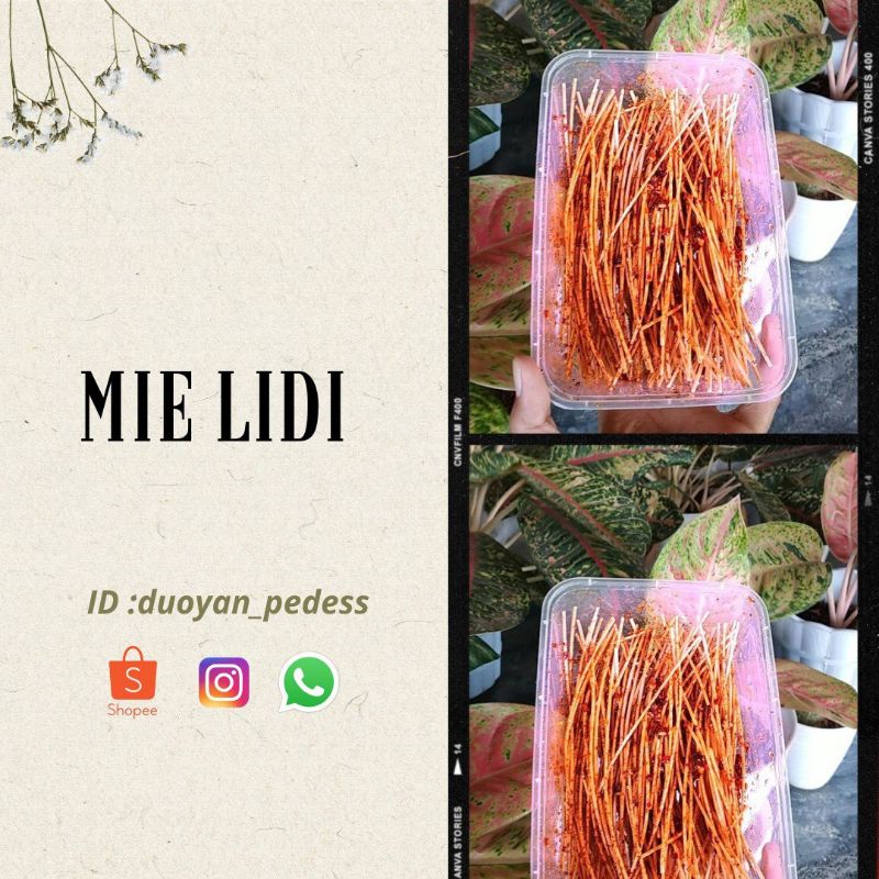 

mie lidi