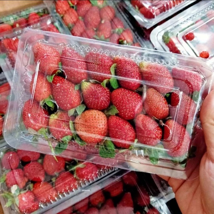 

Buah Strawberry 1 Pcs Fresh