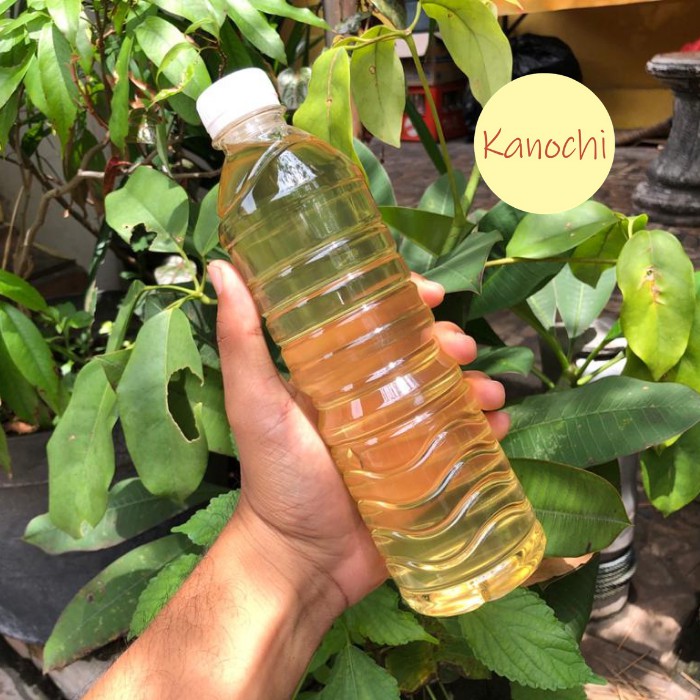 

Minyak Kelapa Tandusan Asli Bali Lengis Nyuh Tandusan Asli 600 Ml
