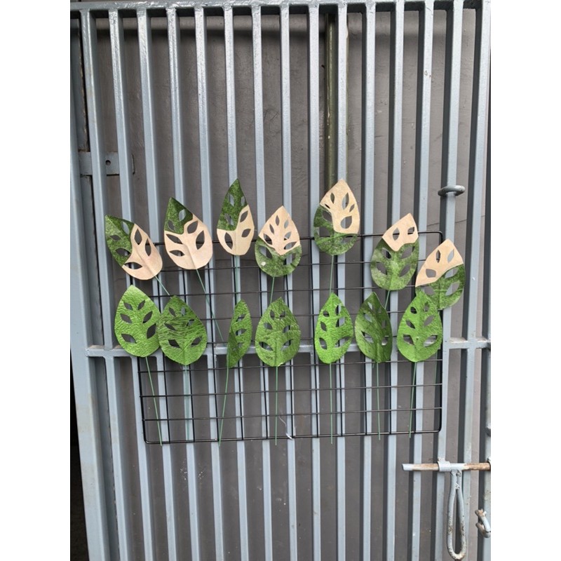 Daun Palsu Janda Bolong