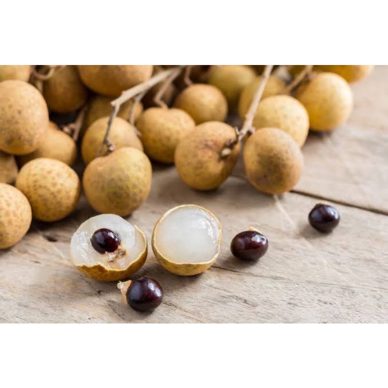 

BUAH KELENGKENG MANIS 1 kg