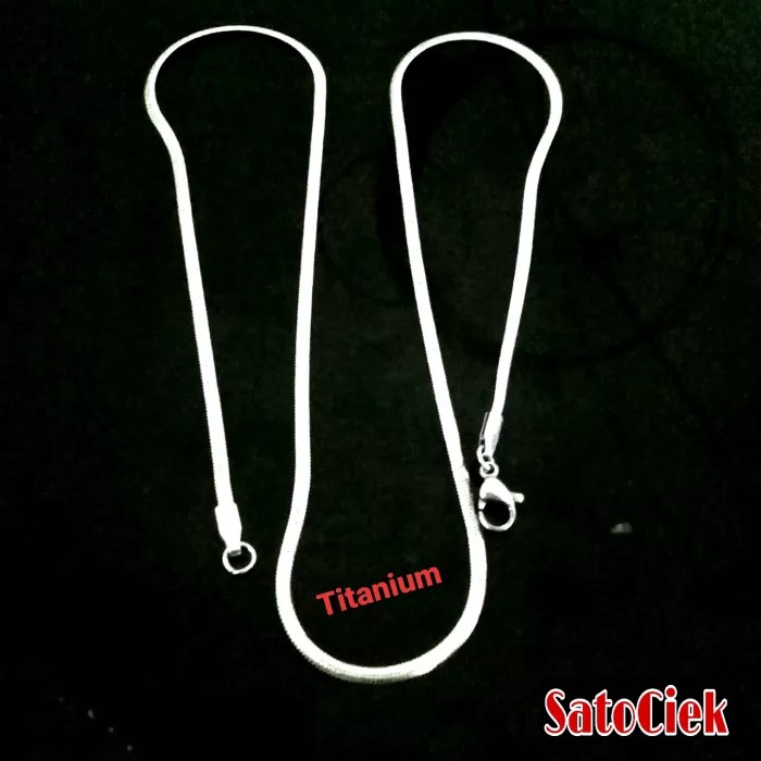 Jual Gantry Kalung Titanium Belut Gepang Anti Karat Selamanya Shopee Indonesia