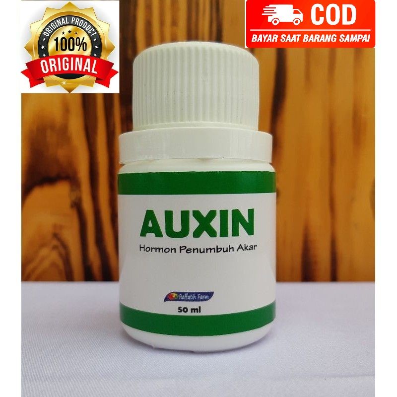 AUXIN BY RAFFATIH FARM ZPT HORMON ZAT PERANGSANG AKAR / PENUMBUH AKAR TANAMAN ANGGUR