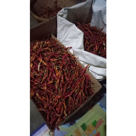 

CABE MERAH KERITING KERING