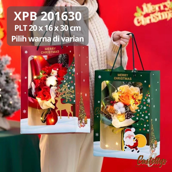 

XPB 201630 GREEN 5 PCS Paper Goodie Bag Hijau Hampers Hadiah Natal Christmas