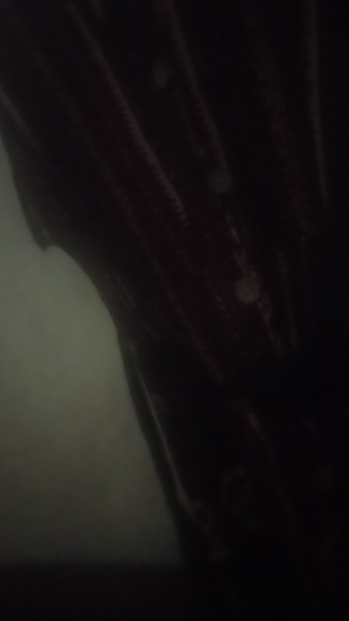 Johor - Gaya Dress Batik Wanita