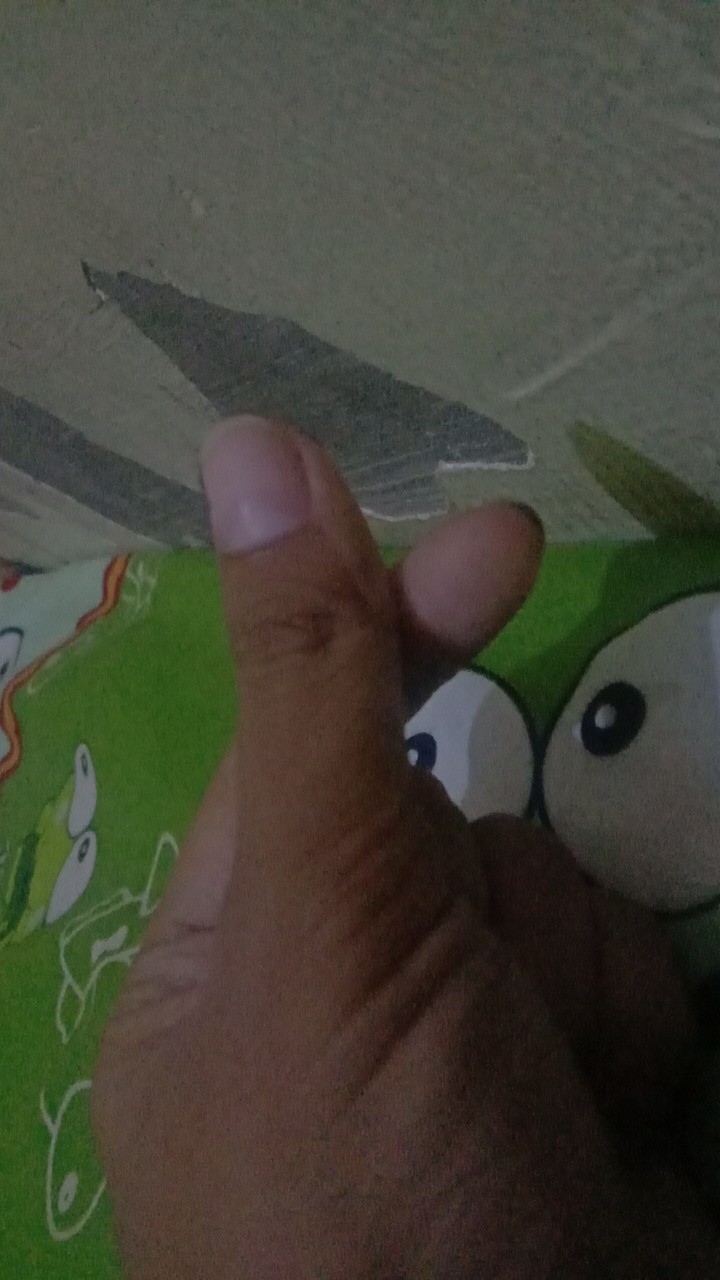 Pisau Dapur Stainless Pisau Pemotong Buah Dan Sayuran