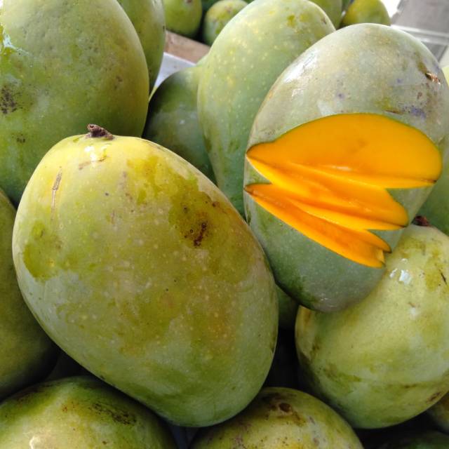 

Mangga Harum manis segar minim order 3kg @ kilogram