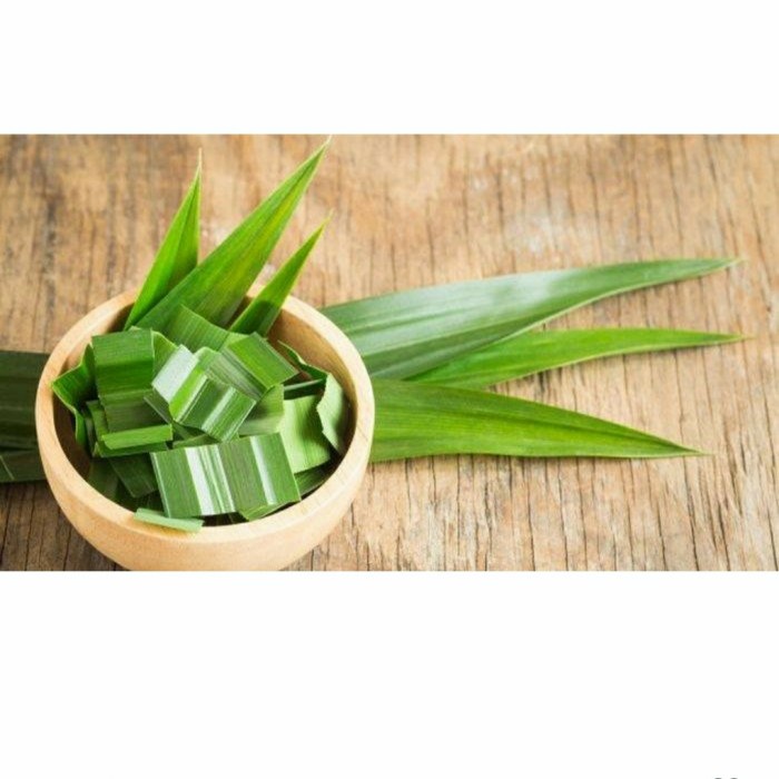 

Daun Pandan Wangi - 1 ikat