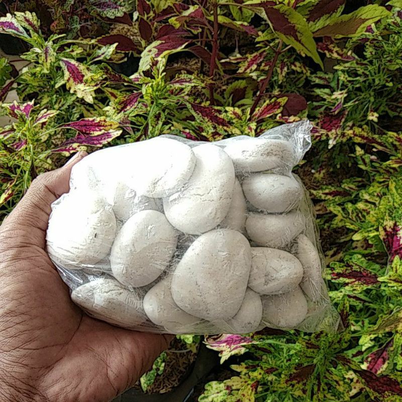 BATU HIAS TAMAN BESAR KEMASAN 1KG