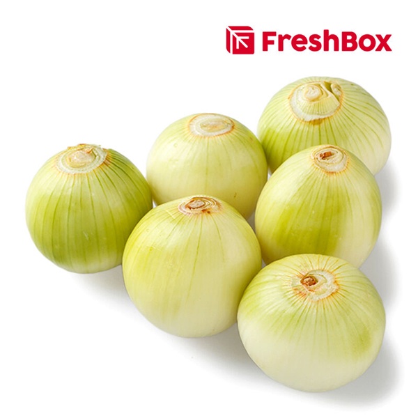 

Bawang Bombay Kupas (Peeled Onion) 500gr FreshBox