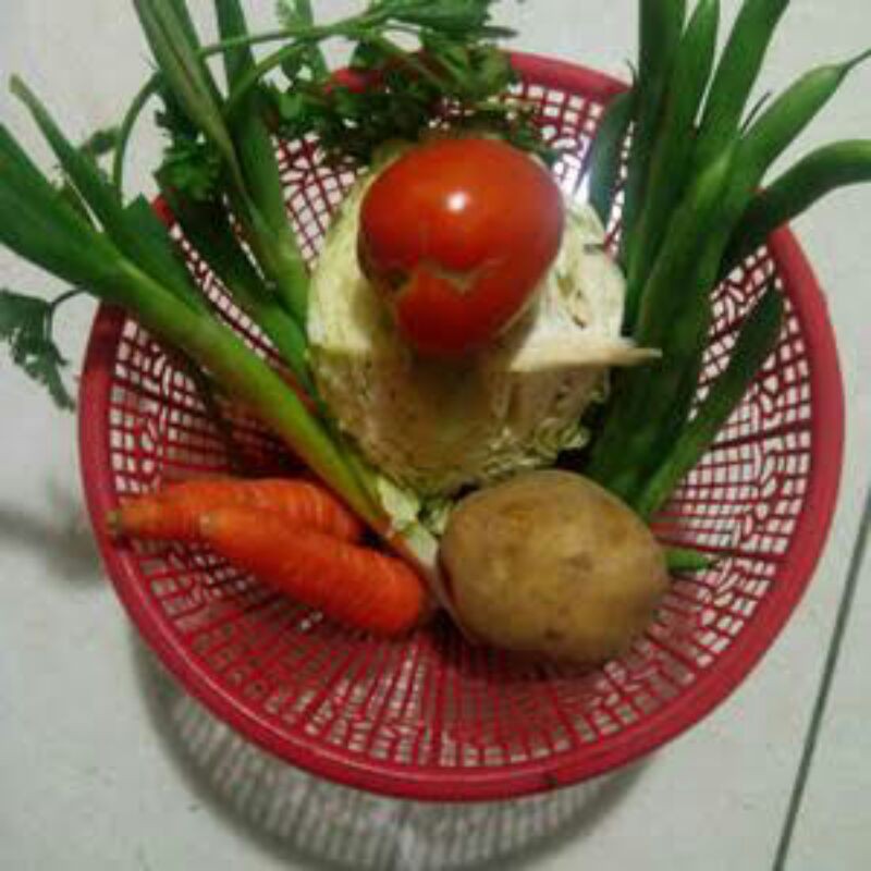 

Sop/paket sayur sop