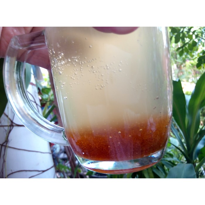 

Madu Pahit Murni Hutan Pelawan Namang Asli Khas Bangka 750Gram