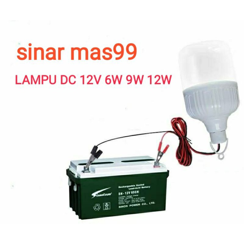 Jual Lampu Bohlam Led Dc V W W W W Lampu Aki Dc Volt Shopee Indonesia