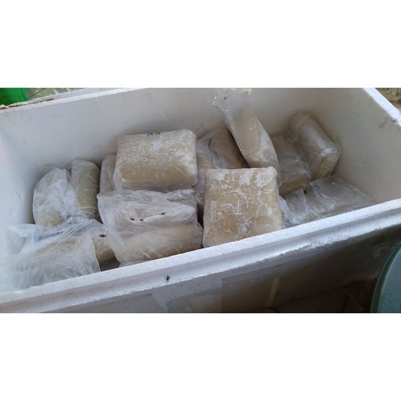 

ikan kakap giling