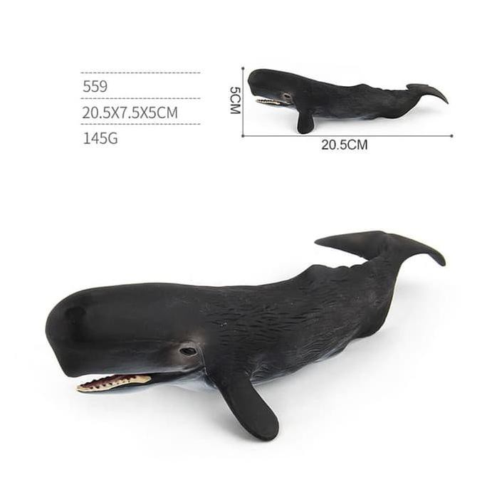 Mainan Ikan Paus Sperm Whale Shopee Indonesia