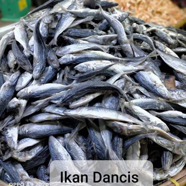 

Ikan Asin Dancis