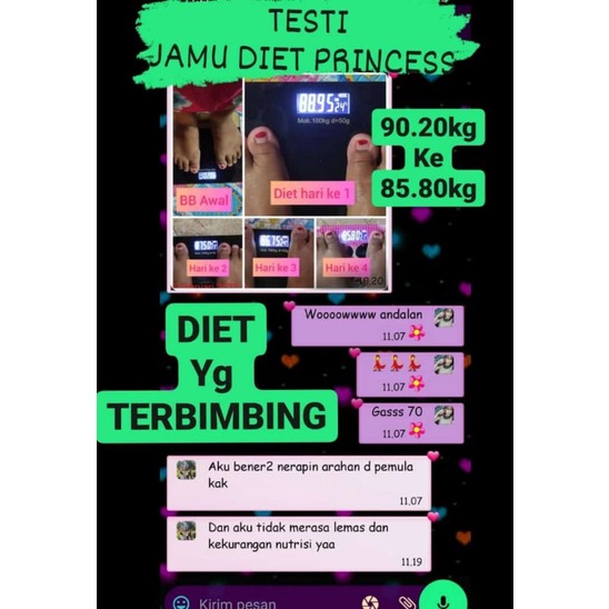 

JAMU HERBAL DIET PRINCESS
