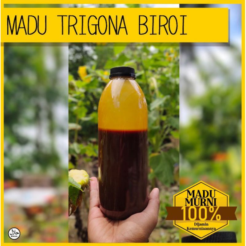 

Madu Klanceng Sulawesi | Madu Kelanceng Biroi | 100% Madu Murni