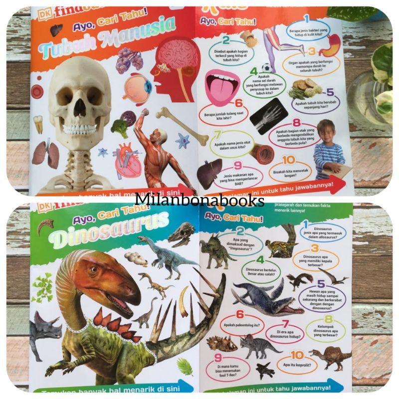 DK Bahasa Indonesia Tubuh Manusia Dinosaurus