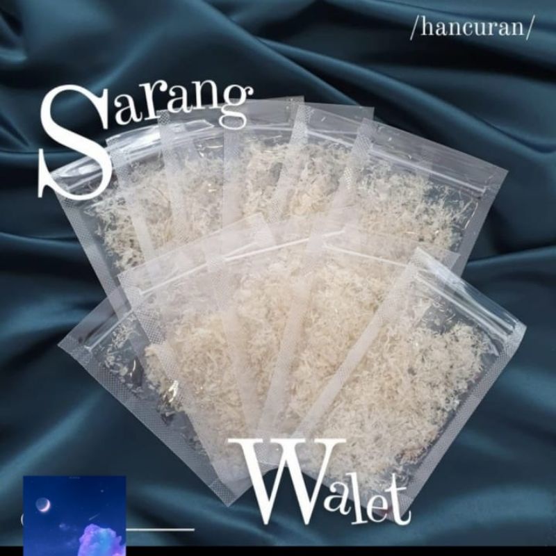 

sarang walet