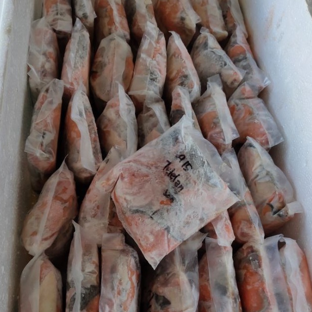 Promo TETELAN SALMON ALASKA TANPA DURI (500G) Best Seller