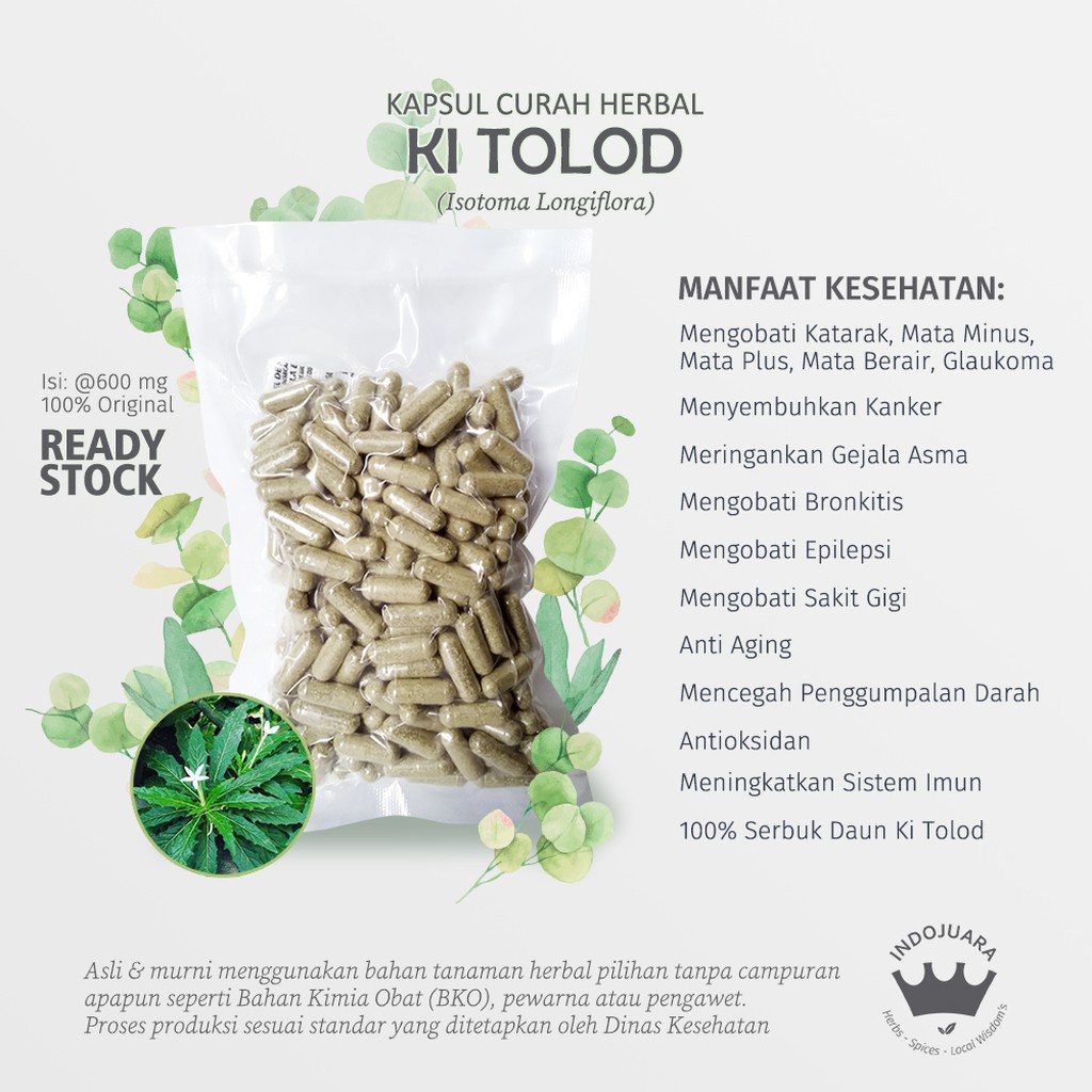 

KI TOLOD 200 x 600mg Kapsul Curah Herbal Mata Minus Plus Glaukoma Katarak Anti Aging Epilepsi Kanker