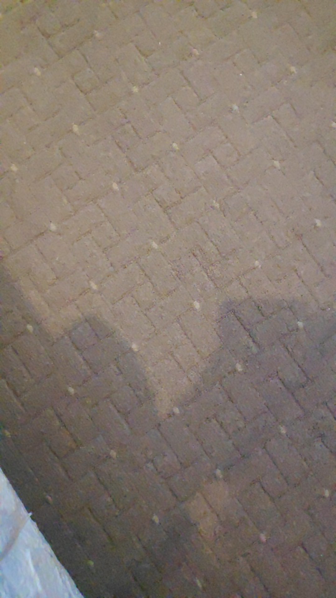 Pipa Pvc Trilliun D 1 1/2 Inch