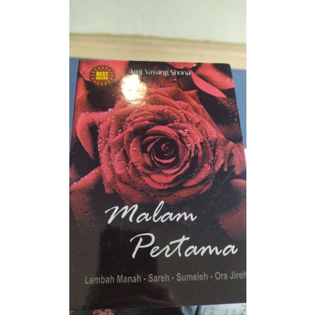 novel malam pertama karya yayang shona