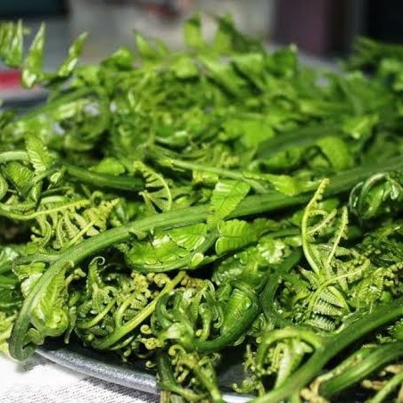 

[PROMO] sayuran pakis pakis sayur segar fres termurah 500gram