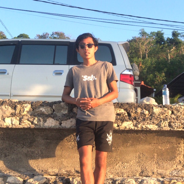dedesantosa123