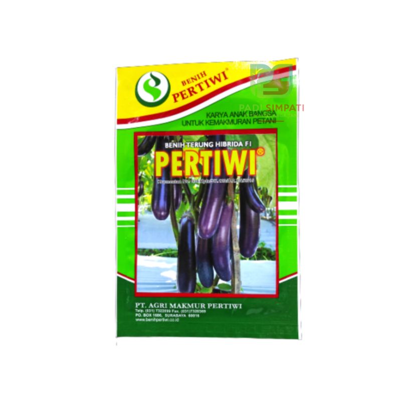 BENIH / BIBIT TERONG UNGU PERTIWI